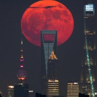 Kategorija Ljudi i svemir: Blood Moon Rising Behind the City Skyscrapers