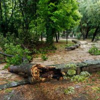 Posljedice nevremena u Splitu