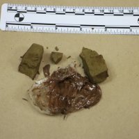 Doputovao busom u Zagreb s hrpom droge