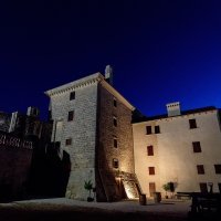 Festival plesa i neverbalnog kazališta