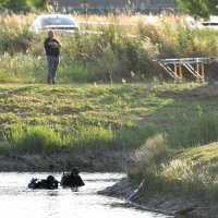 Policijski očevid kod Male Subotice