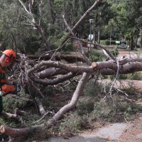 Posljedice velikog nevremena u Splitu