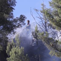 Požar u Podstrani, dignut je kanader