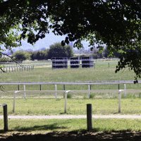 Počele pripreme za koncert Thompsona na hipodrumu u Sinju