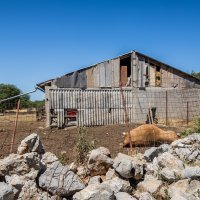 Gornje Maovice: Mjesto gdje je potvrđen slučaj bedrenice