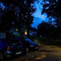 Vatrogasci uklanjaju srušeno stablo u Vukovarskoj ulici