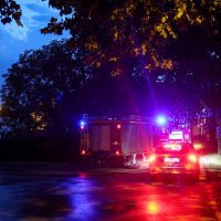 Vatrogasci uklanjaju srušeno stablo u Vukovarskoj ulici