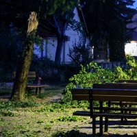 Vatrogasci uklanjaju srušeno stablo u Vukovarskoj ulici