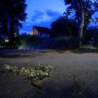 Vatrogasci uklanjaju srušeno stablo u Vukovarskoj ulici