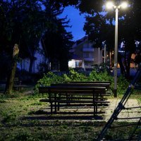 Vatrogasci uklanjaju srušeno stablo u Vukovarskoj ulici