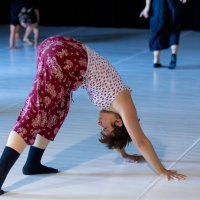 Savicenta plese 19.7._photo by Andi Bancic (3)