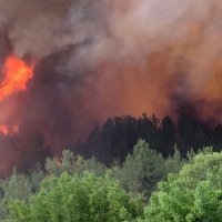 Požari u Turskoj