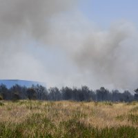 Veliki požar u industrijskoj zoni Podi