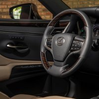 Lexus Shimamoku tehnika obrade drveta