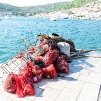 Eko akcija Vela Luka u kojoj je sudjelovala i Janica Kostelić