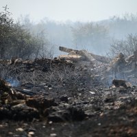 Požar kod Škabrnje