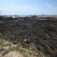 Požar kod Škabrnje