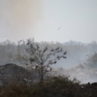 Požar kod Škabrnje