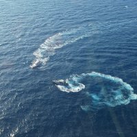 Spašavanje talijanskih državljana u sjevernom Jadranu