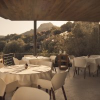 2024_06_18_MACAKIZI_09_01001-RT copy