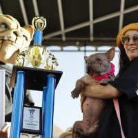 Petunia, najružniji pas na svijetu