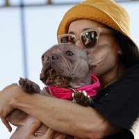 Petunia, najružniji pas na svijetu