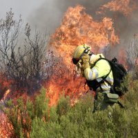 Požari u Španjolskoj