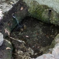 Kula Stojana Jankovića