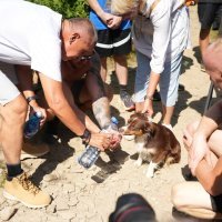 Babiš i psi na planinarenju