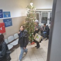 stižu na odjel na Badnjak (1)