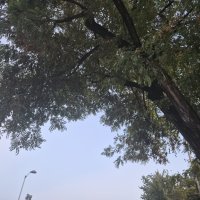 Samsung Galaxy Z Flip7 primjeri fotografija