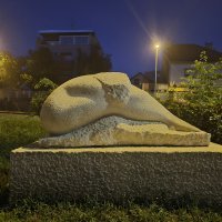 Samsung Galaxy Z Flip7 primjeri fotografija