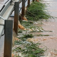 Posljedice nevremena u Novigradu