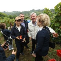 Zoran Milanović u Diplomatskoj berbi