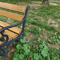 Honor Magic V5 primjeri fotografija