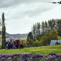 Amisfield_Spring0915_ƒ