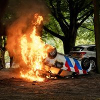 Antiimigracijski prosvjed u Nizozemskoj