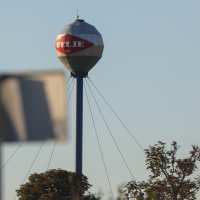 Farma svinja Sokolovac