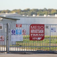 Farma svinja Sokolovac