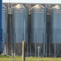 Farma svinja Sokolovac