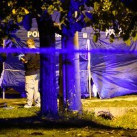 Ubojstvo kod Slavonskog Broda