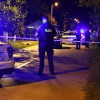 Ubojstvo kod Slavonskog Broda