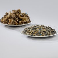 Porsche, BASF i BEST pilot projekt