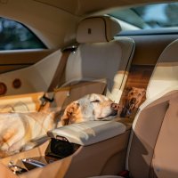 Rolls-Royce Spectre Bailey