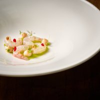 Quisquilla_©Mikel Ponce3267