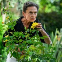 Serija 'Divlje pčele'