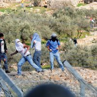 Palestinci prosvjeduju protiv izraelske konfiskacije njihovih zemljišta