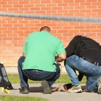 Nesreća u srednjoj školi u Bedekovčini