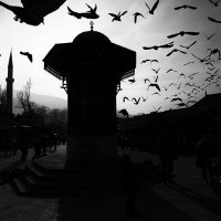 01_Sarajevo Light&Shade_01