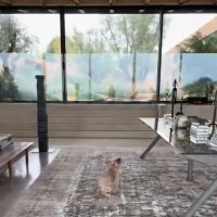 Vila Ellen DeGeneres